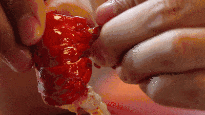 640 (2).gif 640 (2).gif
