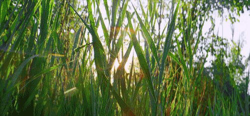f7fba7682bc5db24186cb0cc04de113c.gif f7fba7682bc5db24186cb0cc04de113c.gif